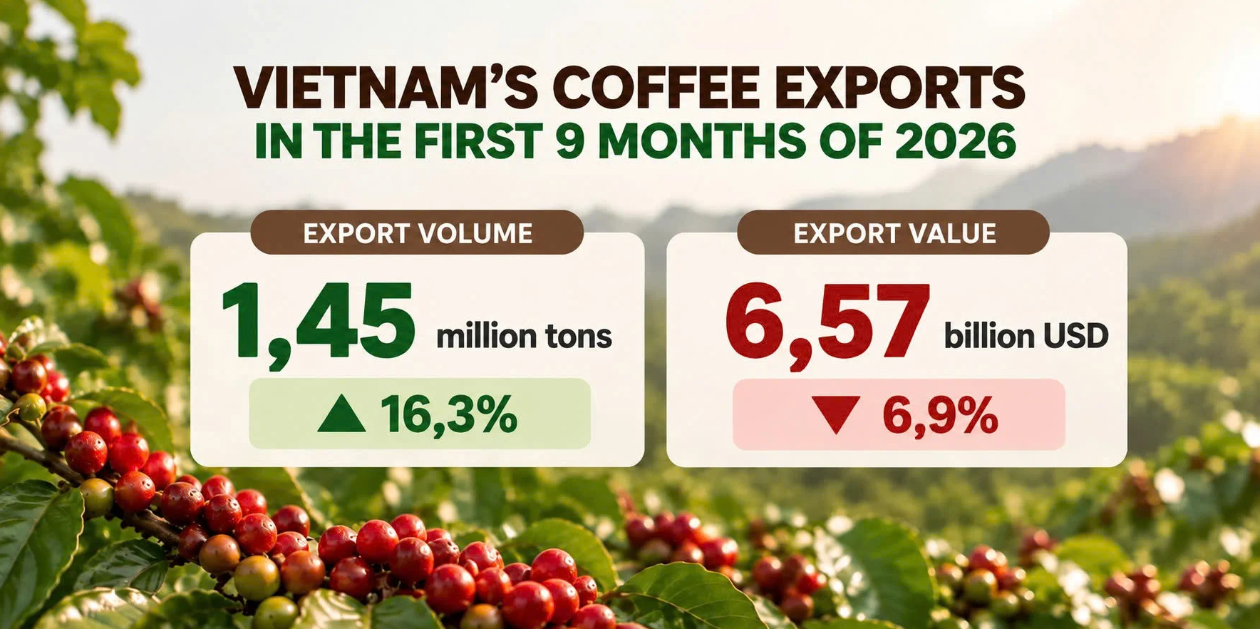 Coffee exports reach $6.57 billion: How will prices come under pressure late this year?